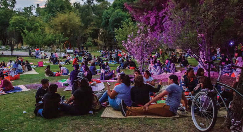 Picnic Nocturno. En el marco del Festival del Bosque de Chapultepec