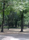 Tirolesa
