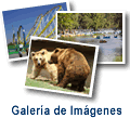 Galer&iacute;a de Fotos