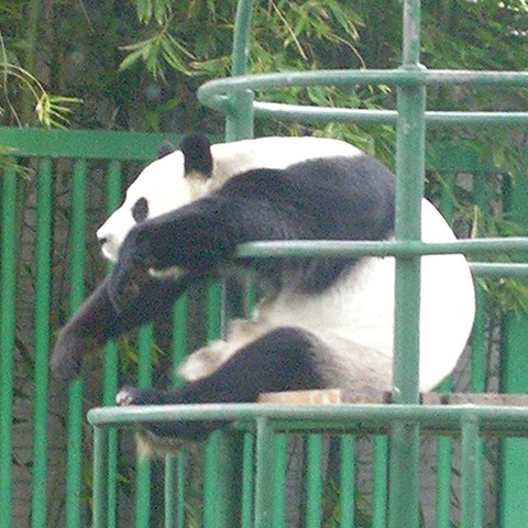 El Zoológico de Chapultepec	