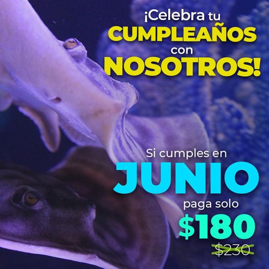 Celebra tu cumpleaños