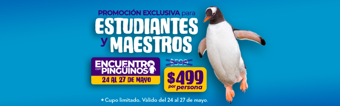 Encuentro con los pingüinos