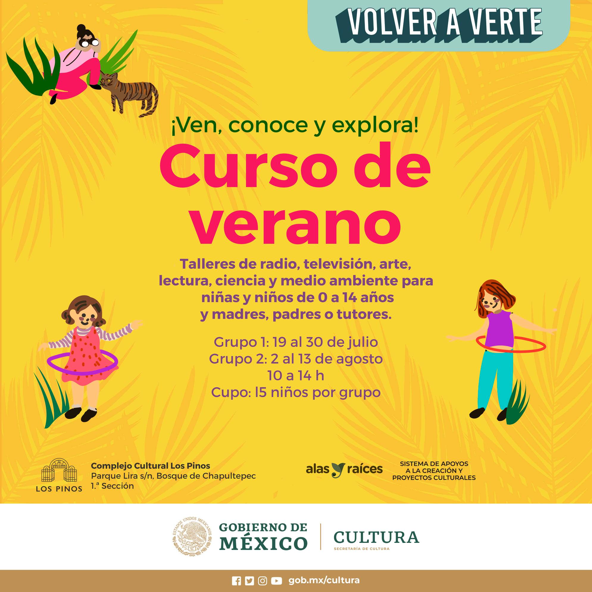 Curso de Verano