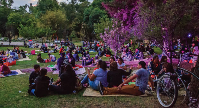 Picnic Nocturno