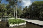 Una obra de Tino Sehgal en el Bosque de Chapultepec 