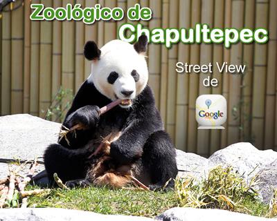 Visita el zoológico de Chapultepec por Google Street View