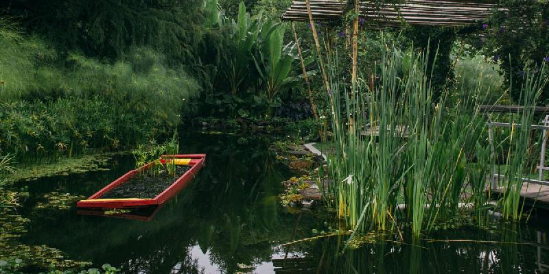 Jardín Botánico del Bosque de Chapultepec